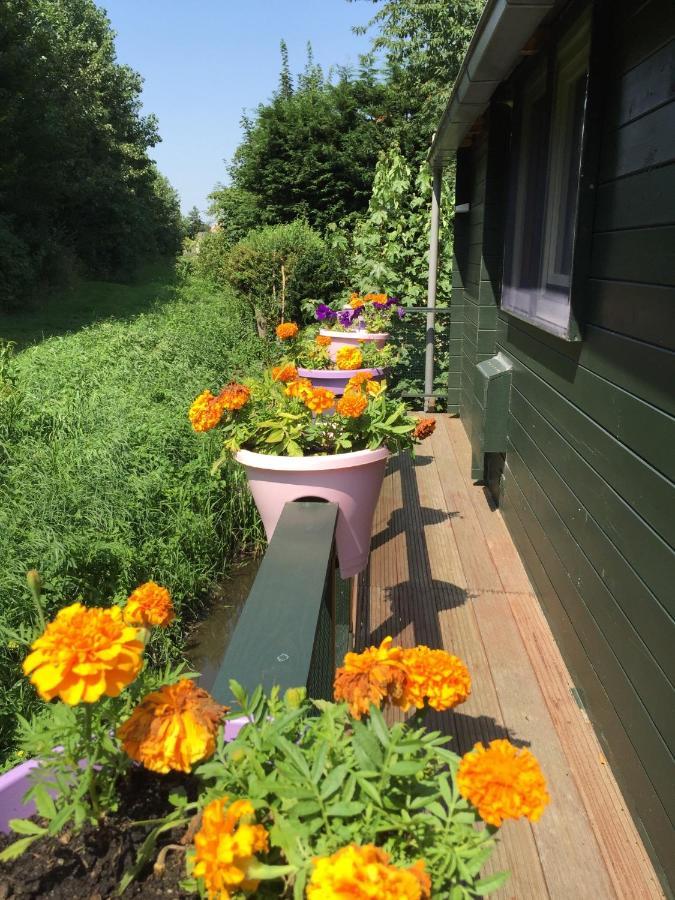 فيلا باتهوفيدوربْفي Gardenhouse Mariposa المظهر الخارجي الصورة